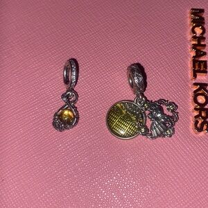 Pandora Beauty and the beast charm (Both included)